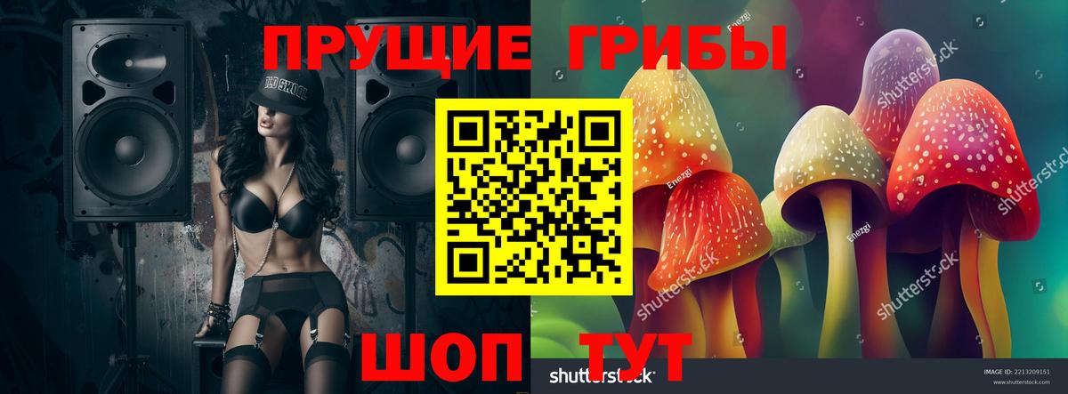 Галлюциногенные грибы прущие грибы Бахчисарай